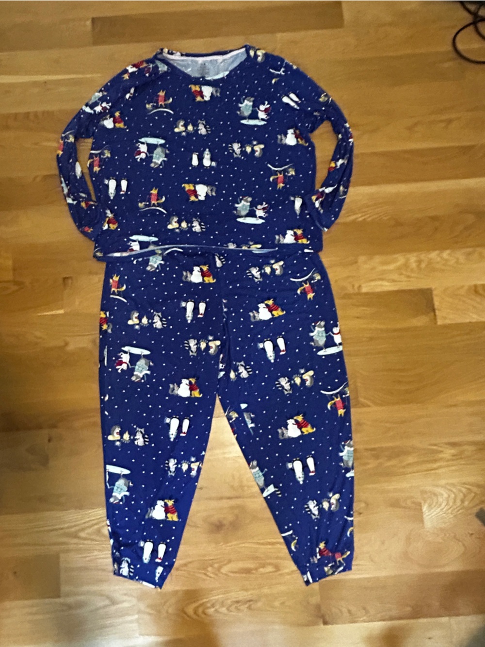 Secret Treasures Navy Blue Holiday Pants and Shirt with Winter Print